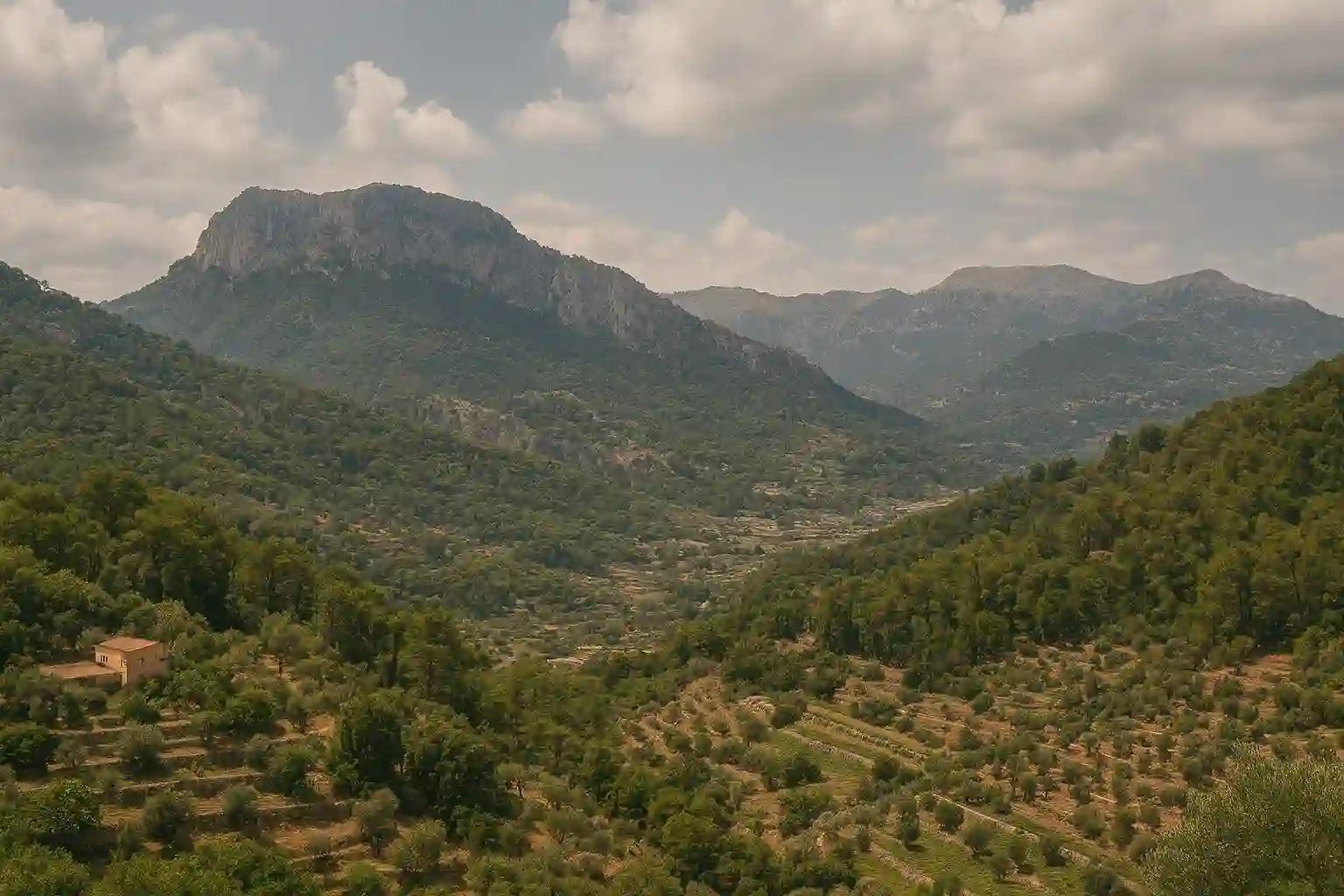 Sierra de Tramuntana ridge path with sea views and dry-stone terraces in Mallorca