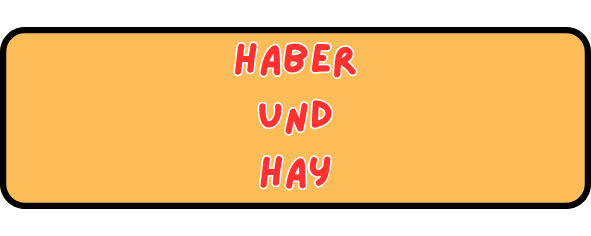 Haber und Hay