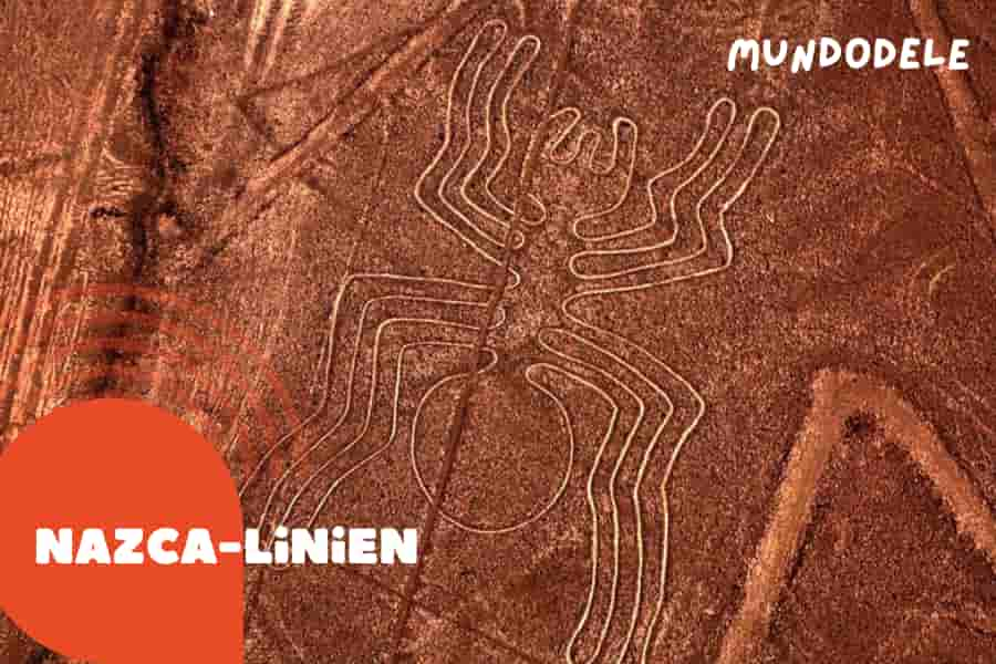 Nazca-Linien Flugerlebnis Spinne