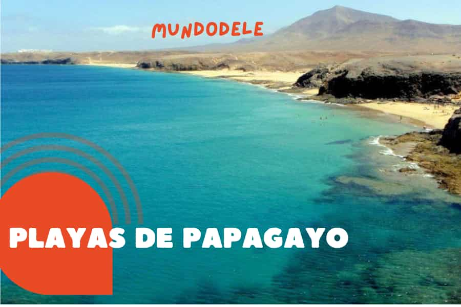 Playa de Papagayo Katamaran Tour