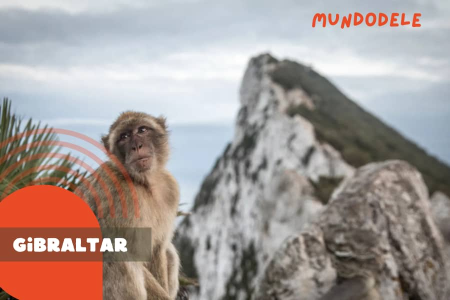 Costa del Sol Malaga Tour ab Gibraltar